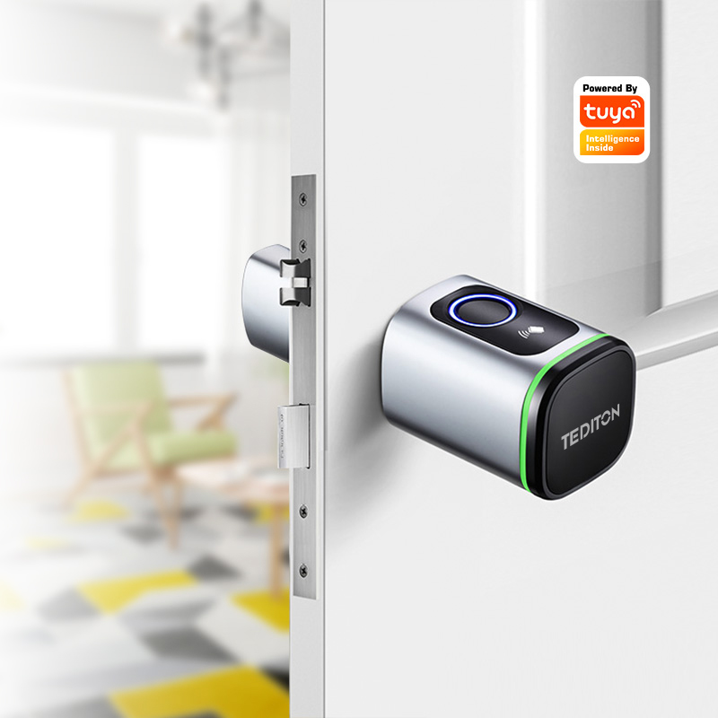 Tuya Wifi Smart Cylinder Door  - Airbnb Smart Home review and price