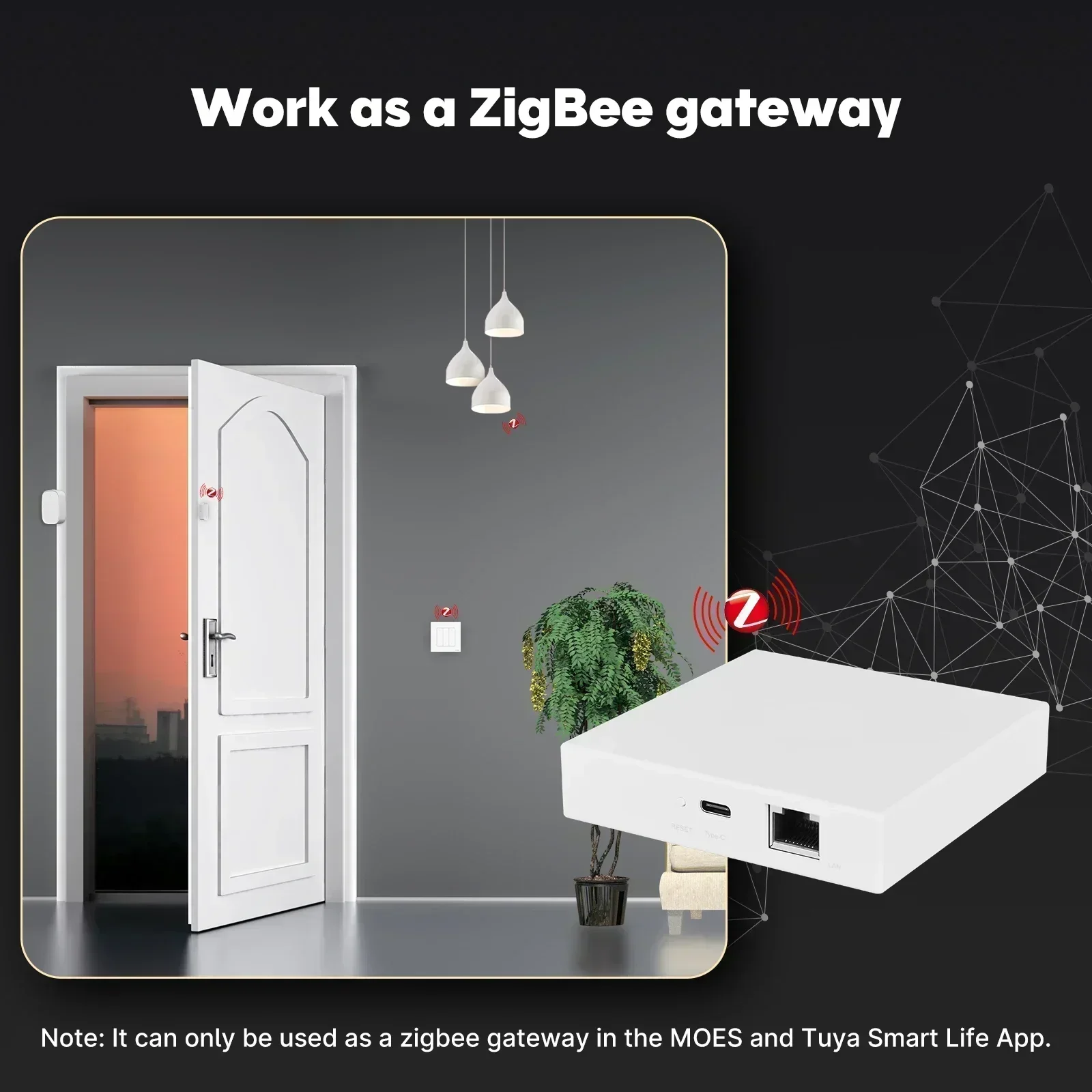MOES Tuya Zigbee Matter Thread - Smart Home Group review and price