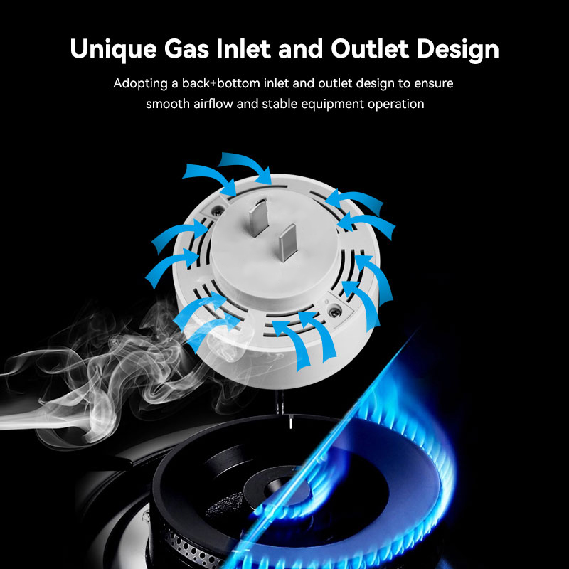 Meian Zigbee Gas Detector Tuya - Smart Home Blog review and price