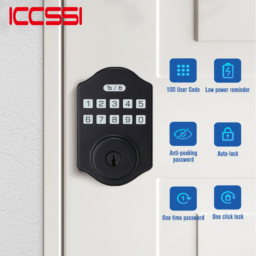 ICCSSI Tuya Lock Password Lock - Airbnb Smart Home review and price