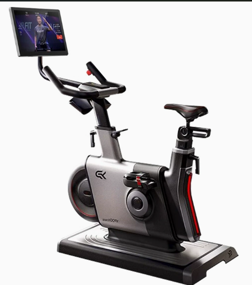 Steel for Bike LCD Display Mag - Smart Home Display review and price
